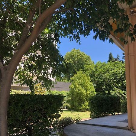 Appartement Mimosa, Tram 2, Parking Montpellier Eksteriør bilde