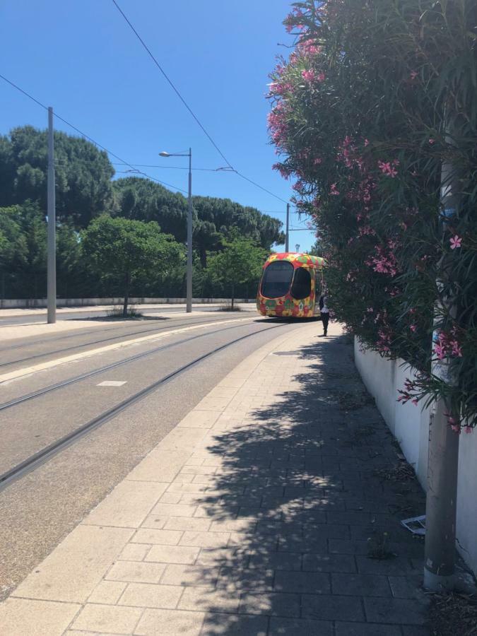 Appartement Mimosa, Tram 2, Parking Montpellier Eksteriør bilde